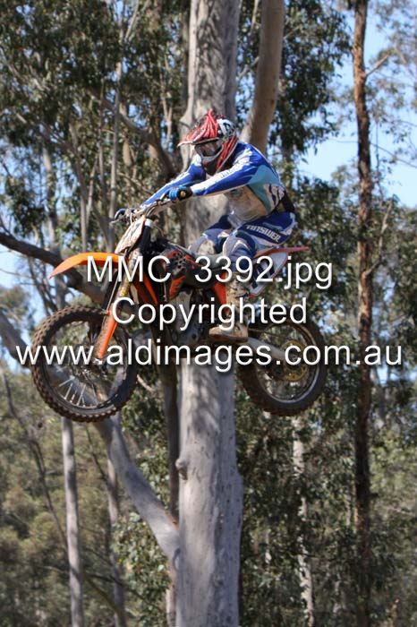 444x677 pixels (84K)